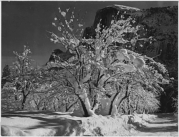 Halfdome, Yosemite 1933, Ansel Adams NARA