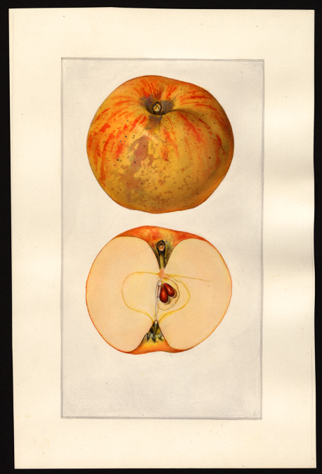 POM00002050Rosslyn, VAjpg