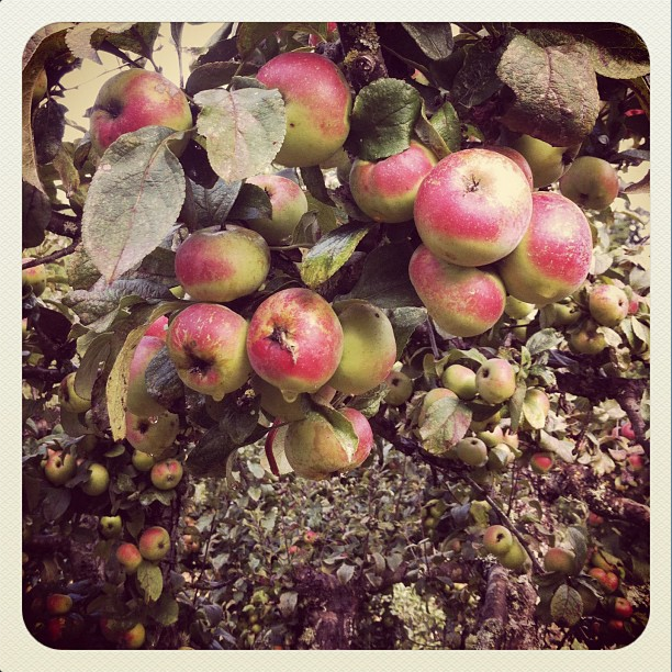 Screen Shot 2013-04-17 at 19.40.13