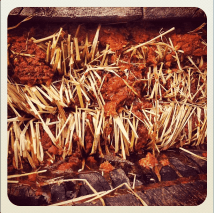 Screen Shot 2013-04-17 at 19.41.08