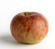 Carrio servicios_1242951376_450