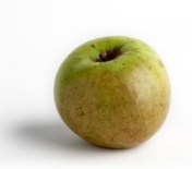 Perico servicios_1242951270_450