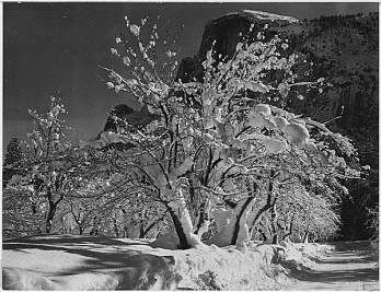 Ansel Adams Yosemite