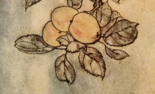 Rackham Lady's Apple