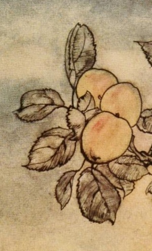 Rackham Lady's Apple