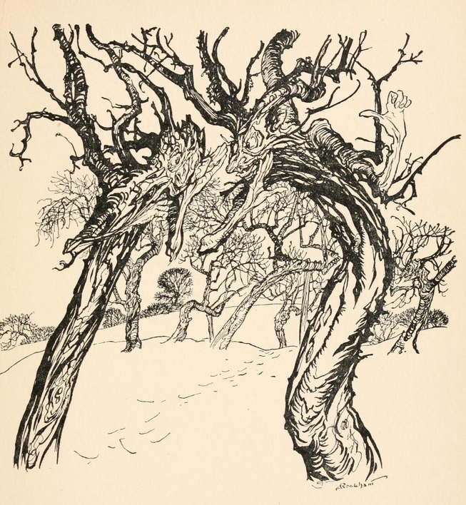 Rackham-Winter Trees