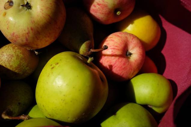 Fort Ross1390635_232228273603076_2015711172_n