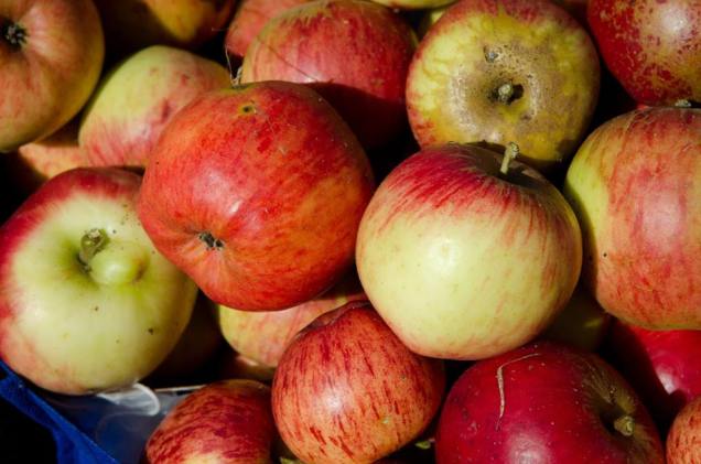 988342_232228423603061_261528728_n