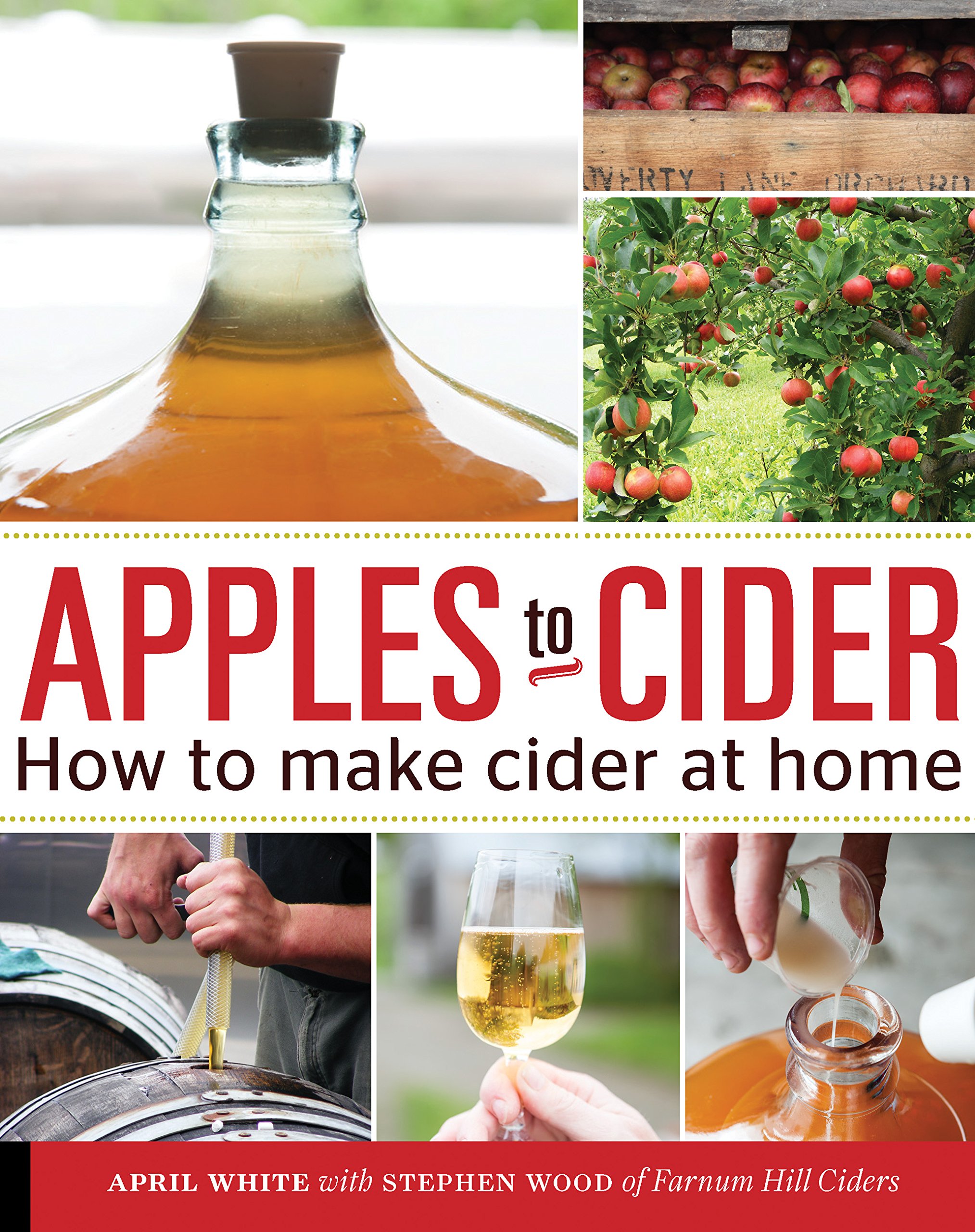 Apples To Cider. How To Make Cider At Home
